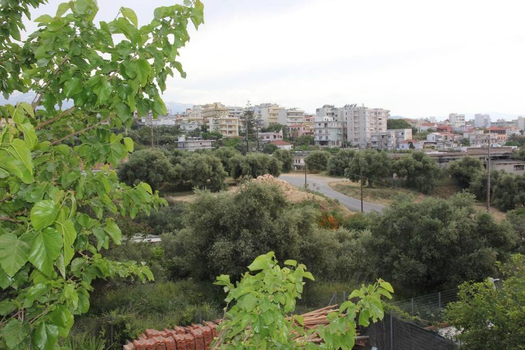 Άνετο Και Πολυτελές Οροφοδιαμέρισμα 2 La Canée Extérieur photo